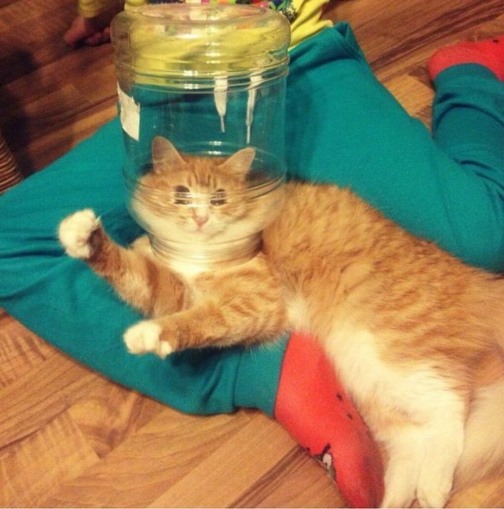К далёким мирам