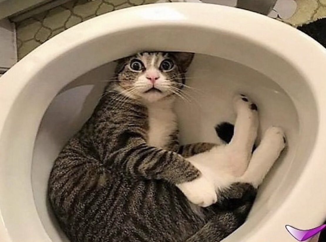 Домашний санаторий