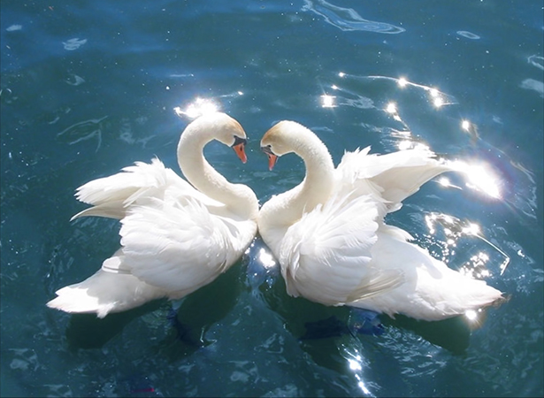 Под золотым осенним клёном...