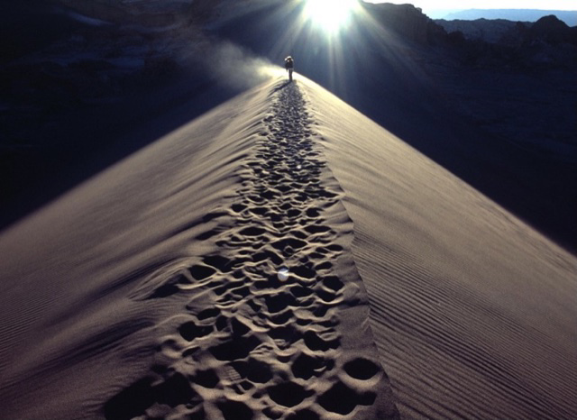 Наш путь от альфы к омеге