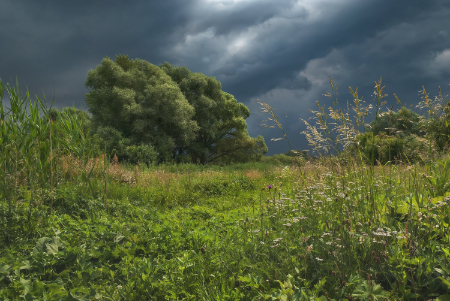 Затаилась природы краса