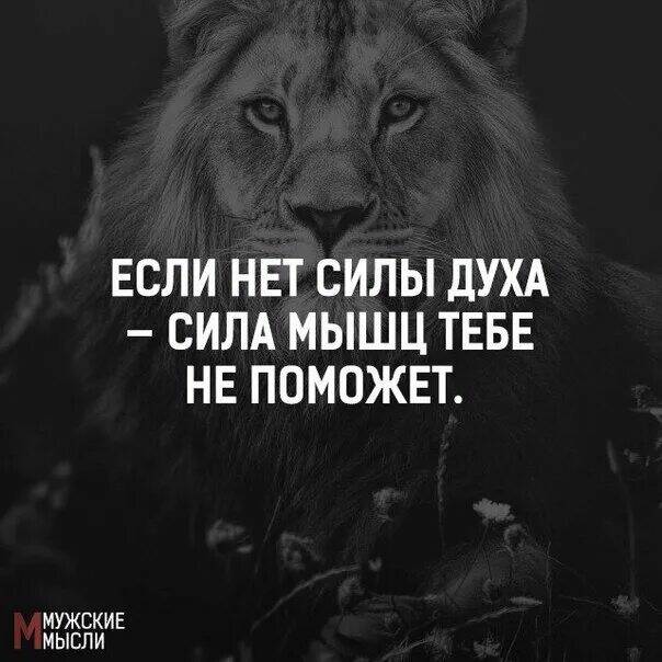 Картинки о силе духа