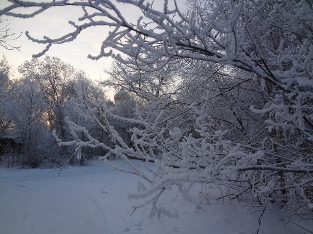 Снегами метель все устлала в природе роскошно