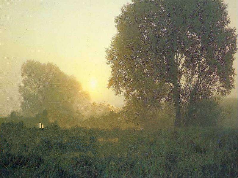 Моя мечта - вернуться к дому...