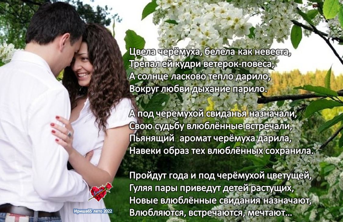 Цитаты про черемуху. Стихи о черемухе весной. Стихи про черемуху короткие. Черёмуха душистая черемуха. Есенин с.