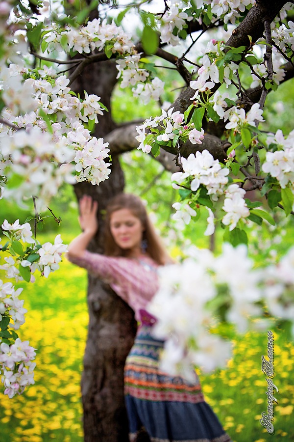Среди вишнёвых сладких нот