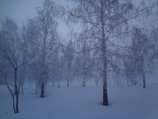 В объятиях, чтоб в небеса взлетать