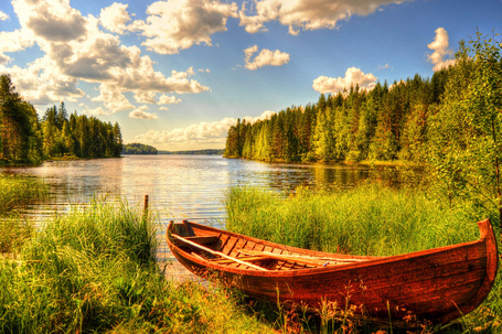 Я вижу пред собой пейзаж