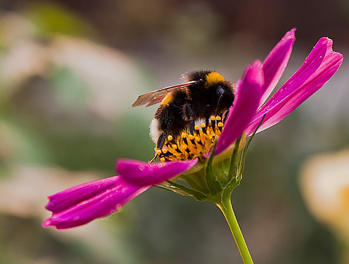 Июньский полдень