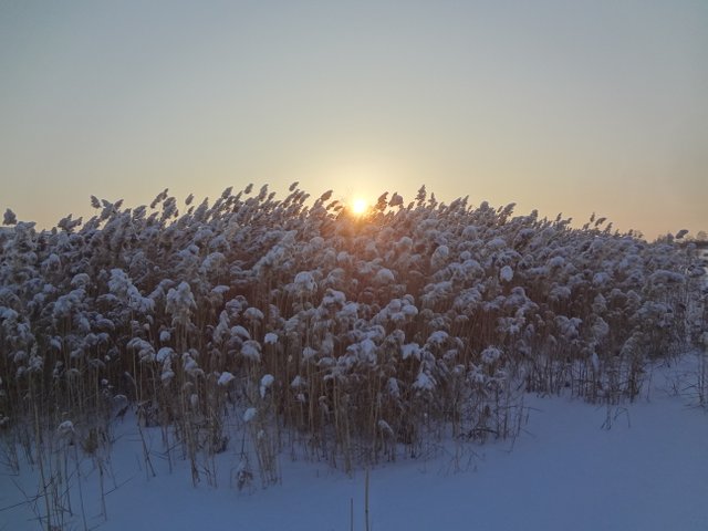Грядет час небывалых разрушений