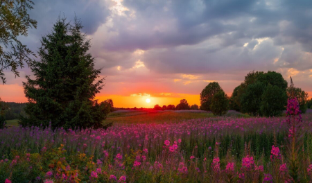 Стихают мысли и тревоги