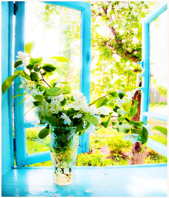 Свежесть весеннего воздуха. Цветы на окне. Весеннее окно. Растения на подоконнике открытого окна. Весенние цветы на окне.