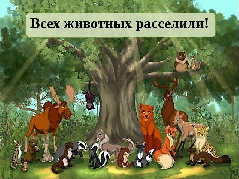 Переполох в лесу