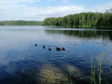 Край синих озер