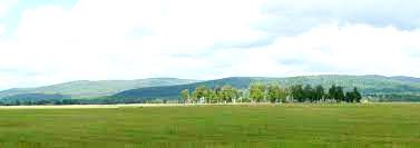 Я не скажу, что брежу о России...