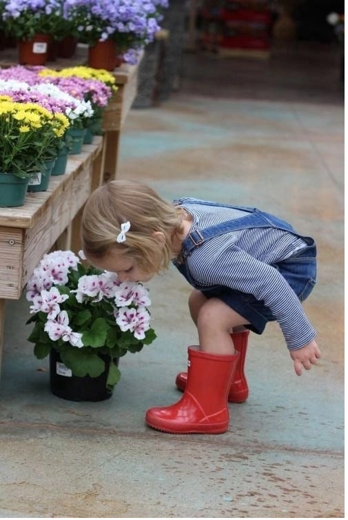 День рождения у мамы