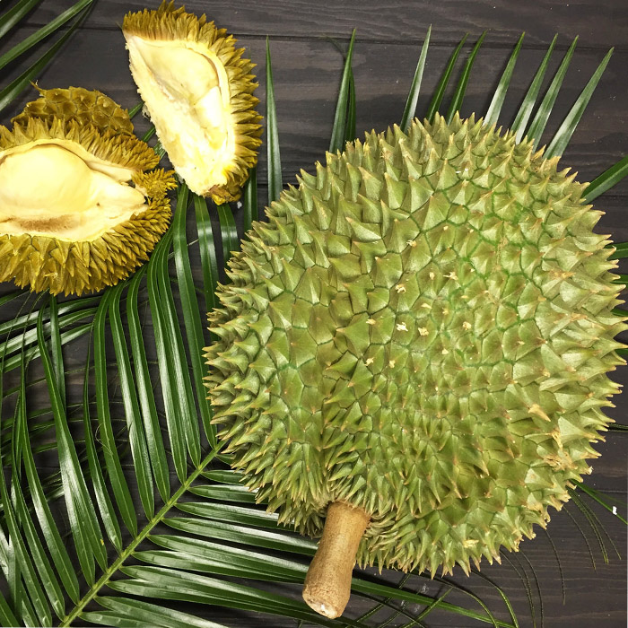 What Is Durian?