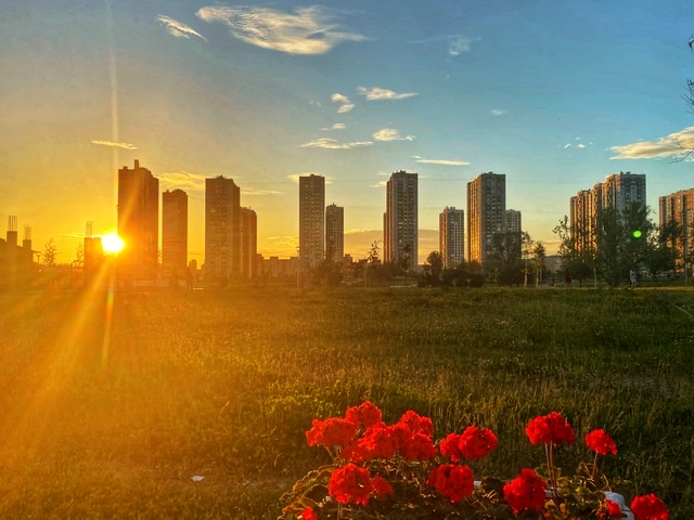 Те, кто просил отпустить