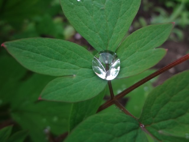 Как-то пугающе в мире вдруг тихо