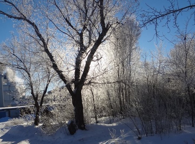 Мы все в полумерах в пути полумглы