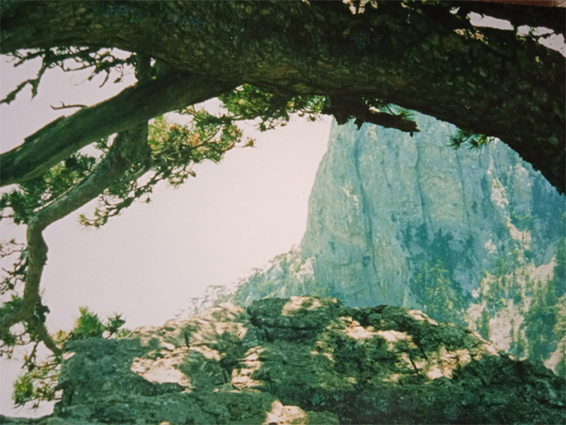 Вот было бы здорово!