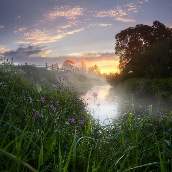 Где-то здесь