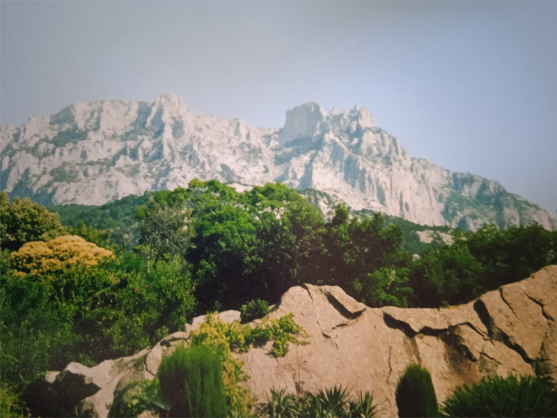 Крым - лучшая лечебница