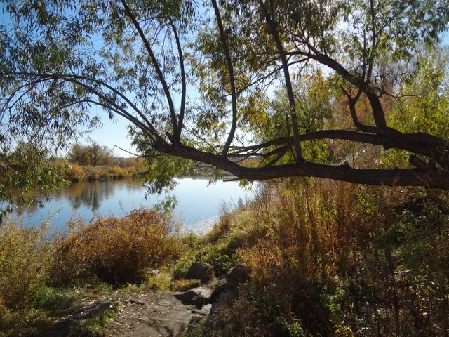 Ты осталась в далеком Париже