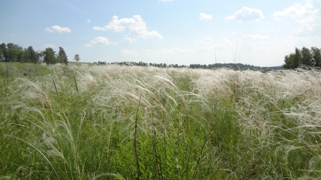 Сказка, рай, покой, мечта