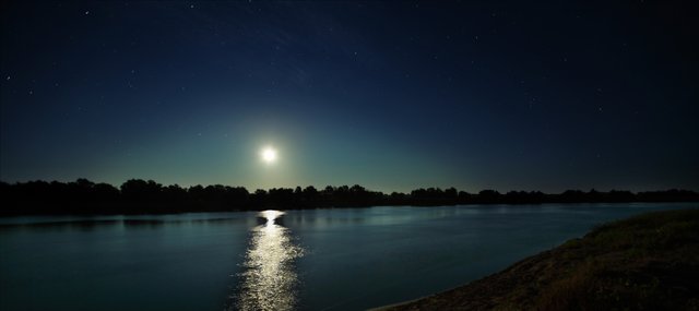 Плывет в волнах лошадка златогривая