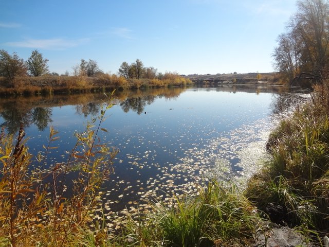 При одиночестве в разлуке