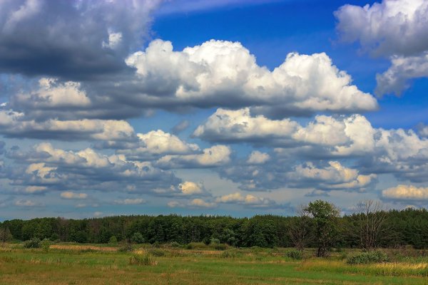 Сегодня тучки с облаками...