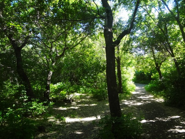 Где нет проблем при жизни никаких