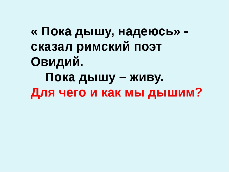 Пока дышу надеюсь латынь