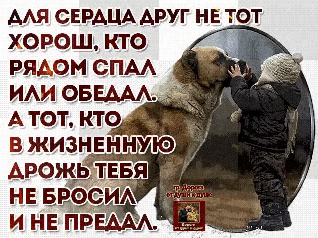 Июнь пробегает