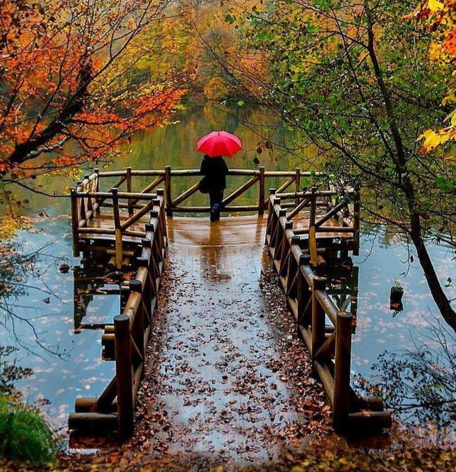 Пусть заходит