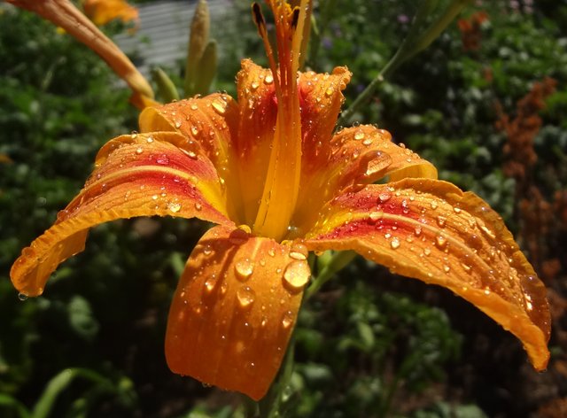 Судьба нагло днями врет