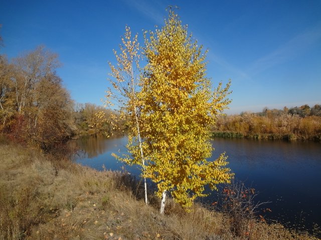 Все мы блуждаем в этом мире счастья