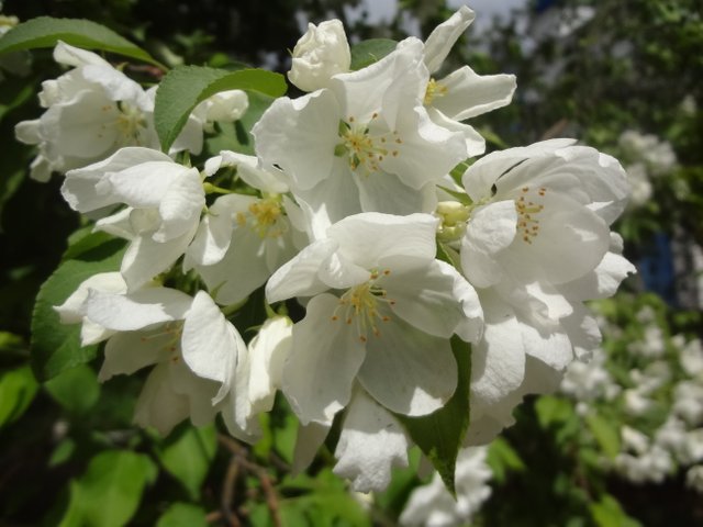 Уносит души наши в параллель