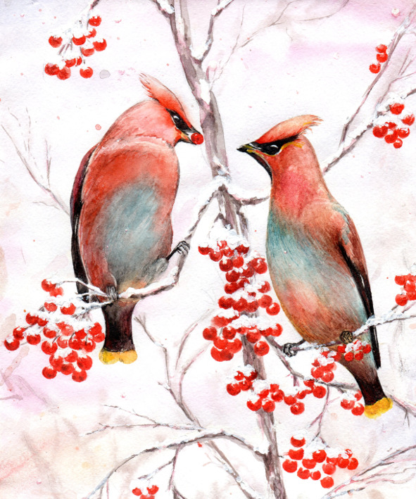 Почти танка. Зимние пиры