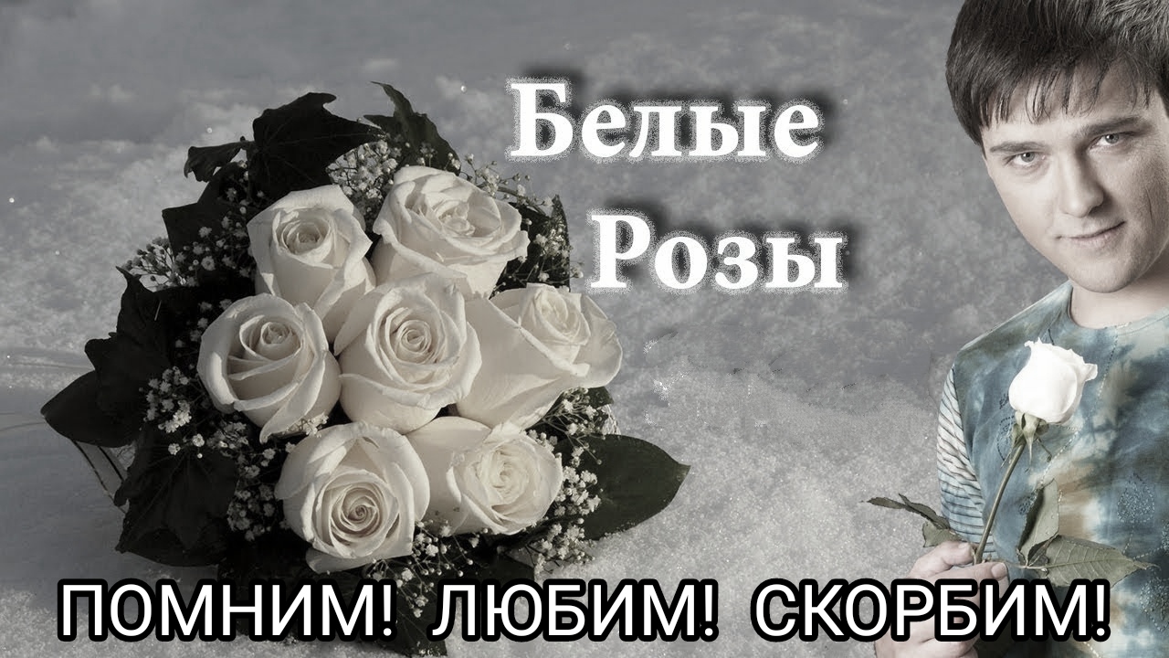 Память ю шатунова. Вечная память белые розы. Плачут белые розы памяти Юрия Шатунова. Белые розы плачут.