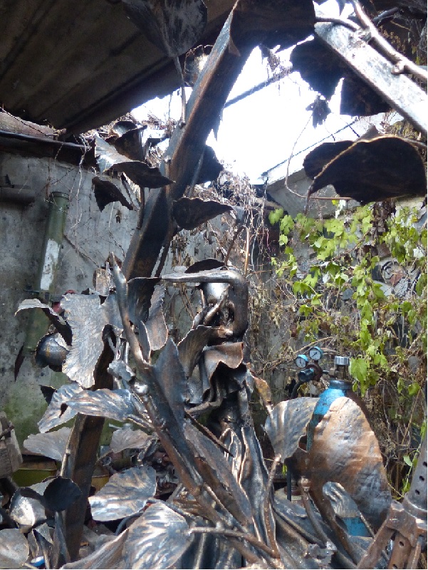 Из Донецкого роддома...