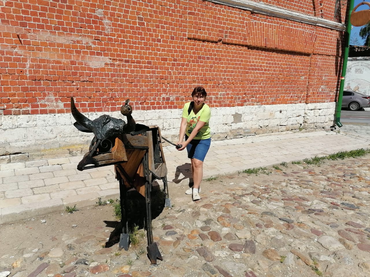 Взять быка за рога