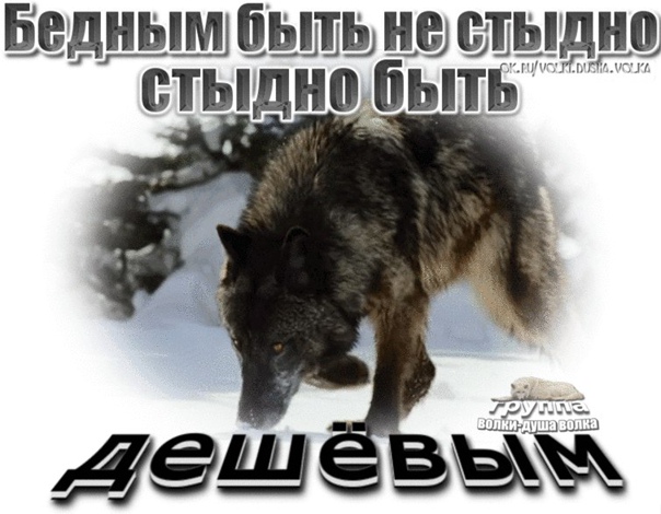 Небогатым быть не стыдно...
