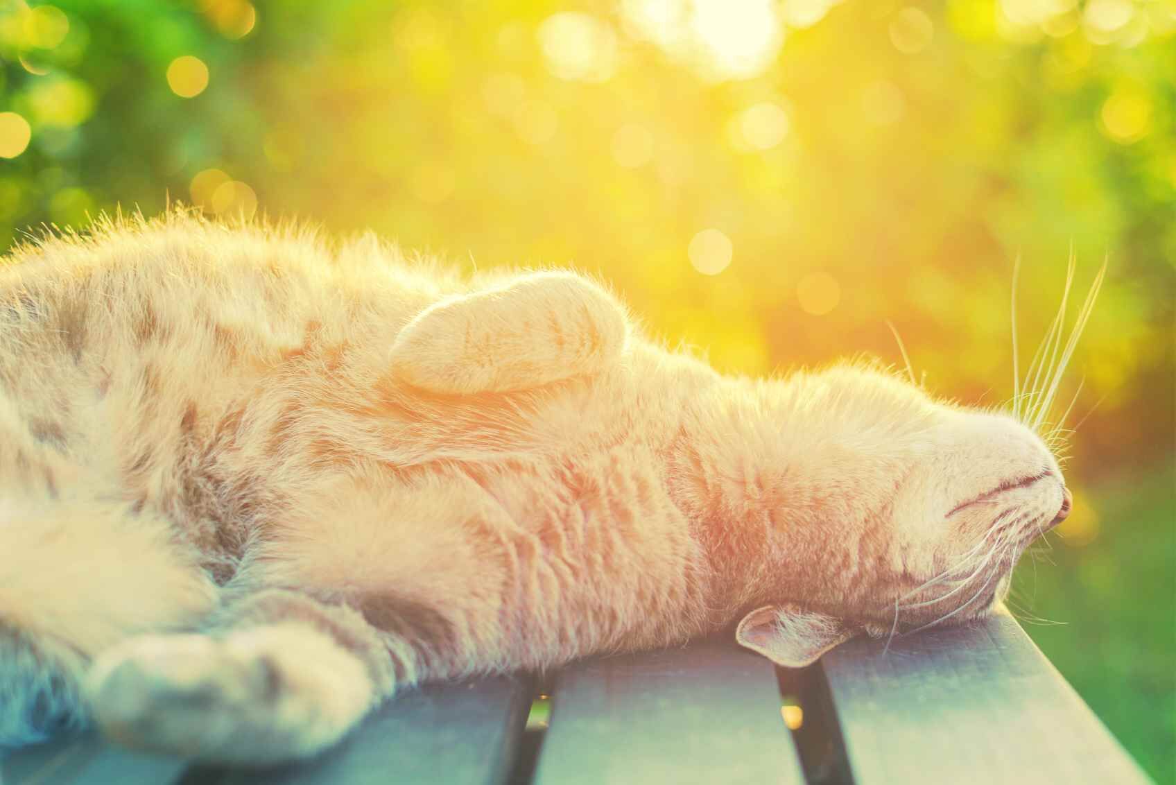 Когда не заснуть до утра