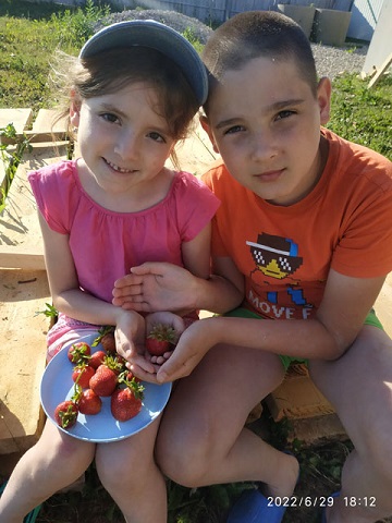 Первая ягода