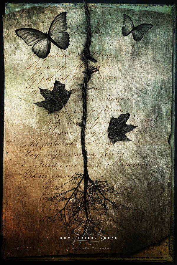 всё хорошо...