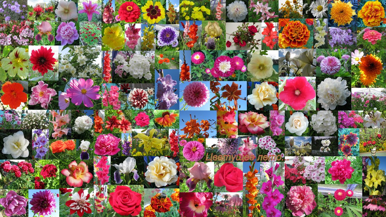 Вот и лето пришло