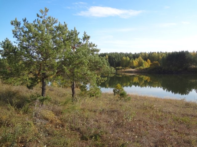 Так хочется возврата тишины