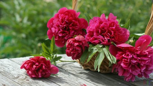 Не откладывай лето